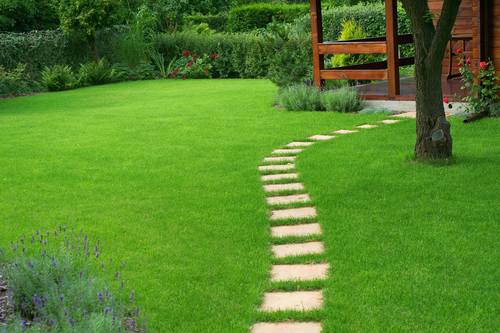 3 proste zasady podlewania trawnika, aby był idealnie zielony